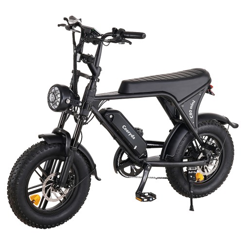 Electric Mountain Bike