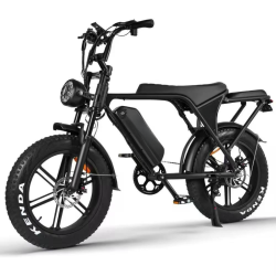 750W 20inch off road Electric Mountain Bike