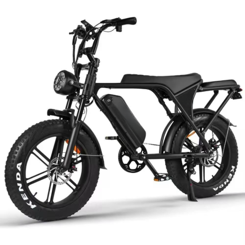 750W 20inch off road Electric Mountain Bike