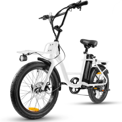 20inch 500W Carbon Steel Frame Electric Bike