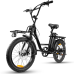 20inch 500W Carbon Steel Frame Electric Bike
