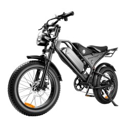 500W Motor Dual Suspension System Electric Bike