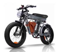 E Bike