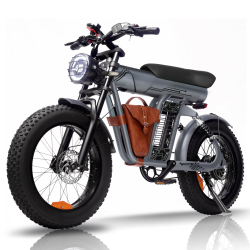 1000W Motor E Bike suitable for commuting and adventure riding